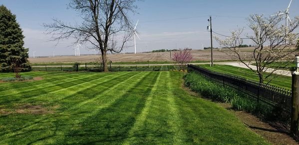 Pasholds lawn