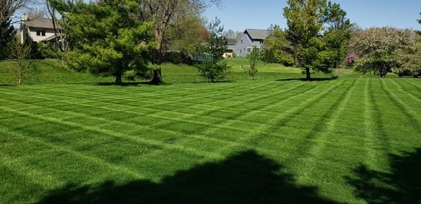 brookridge field 1