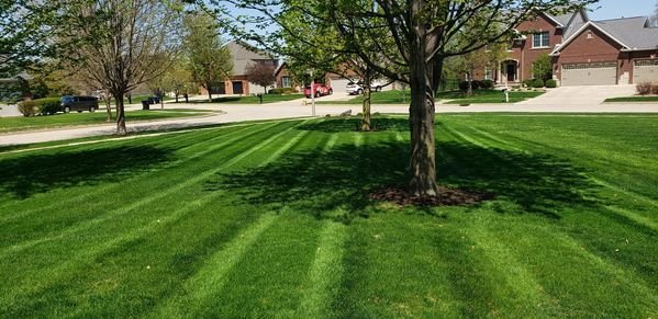 Josh Mast Lawn