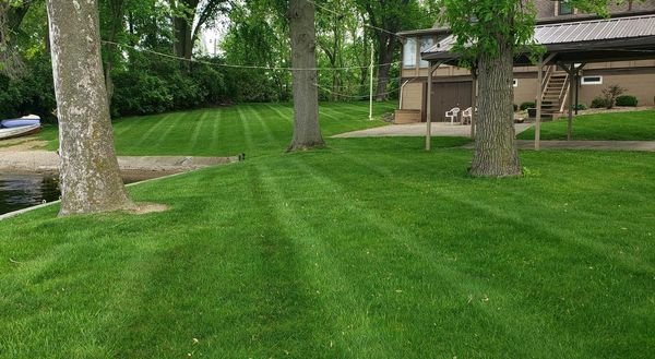 Oberlanders lawn 1_crop_868_476