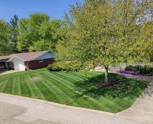 kaufmanns lawn_crop_315_257